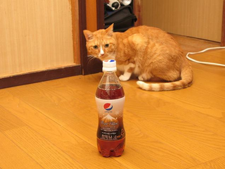 Illustration for article titled The Wild World of Japanese Pepsi Flavors